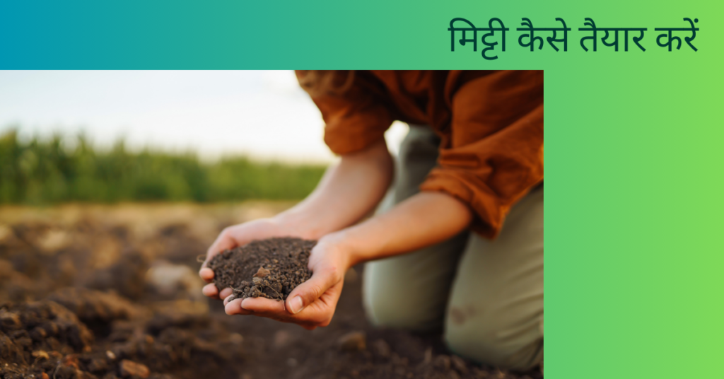 पौधों को बढ़ाने के लिए क्या करना चाहिए?