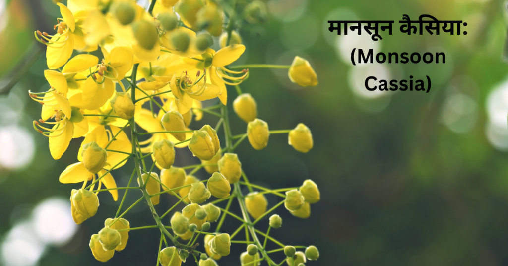 बरसात में खिलने वाले फूल