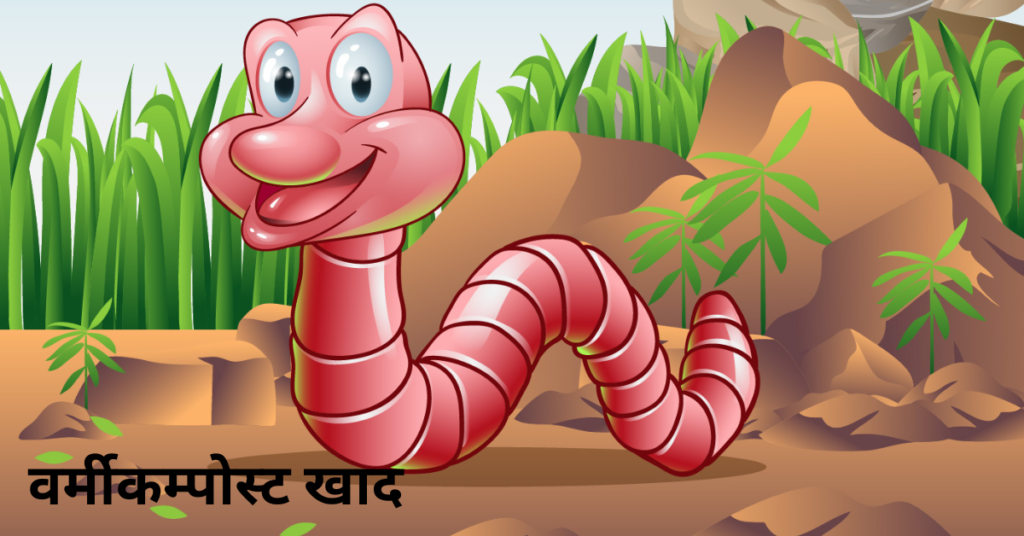 बरसात के मौसम में पौधों की देखभाल कैसे करें