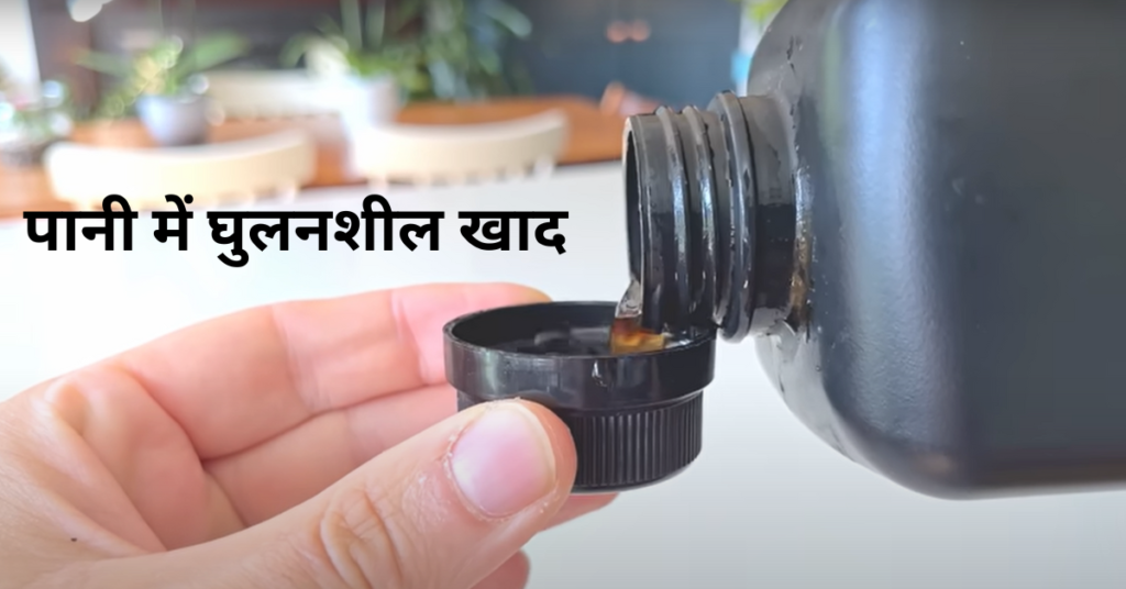 मरते हुए पौधे को कैसे बचाएं