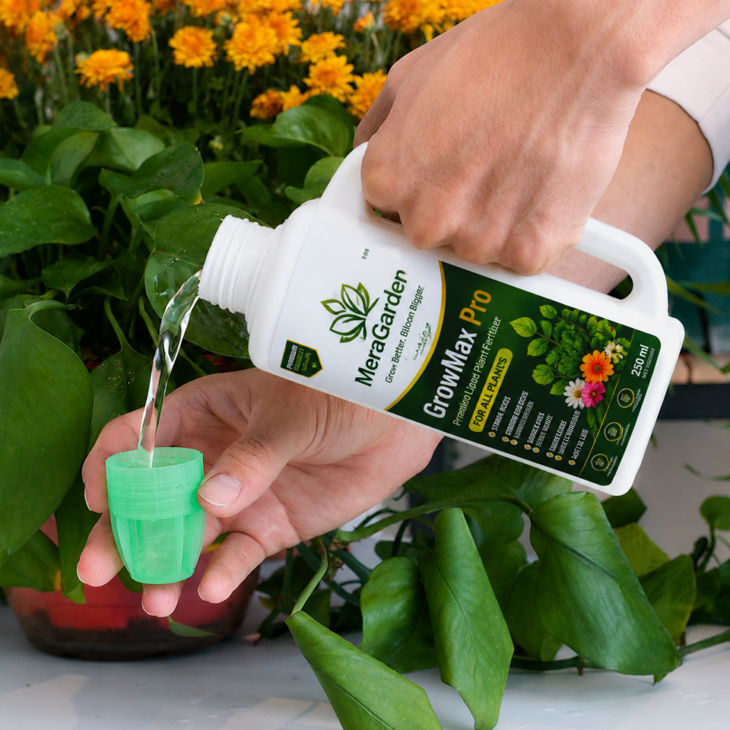 how to use liquid fertilizer for plants
