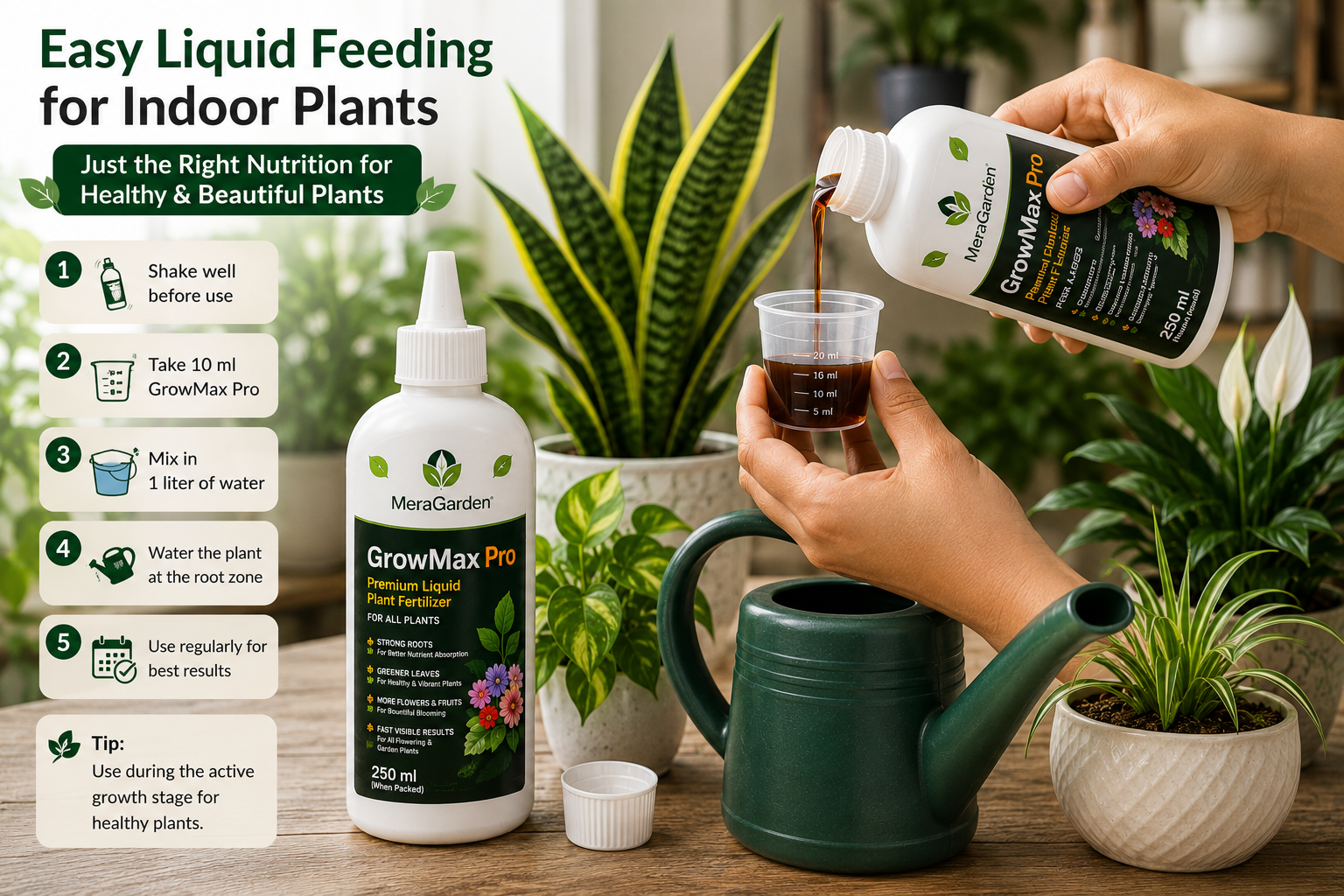 best fertilizer for indoor plants