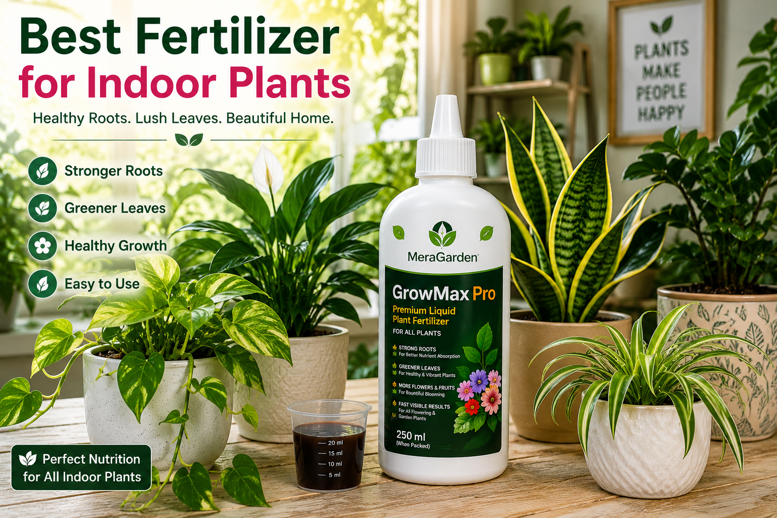 best fertilizer for indoor plants