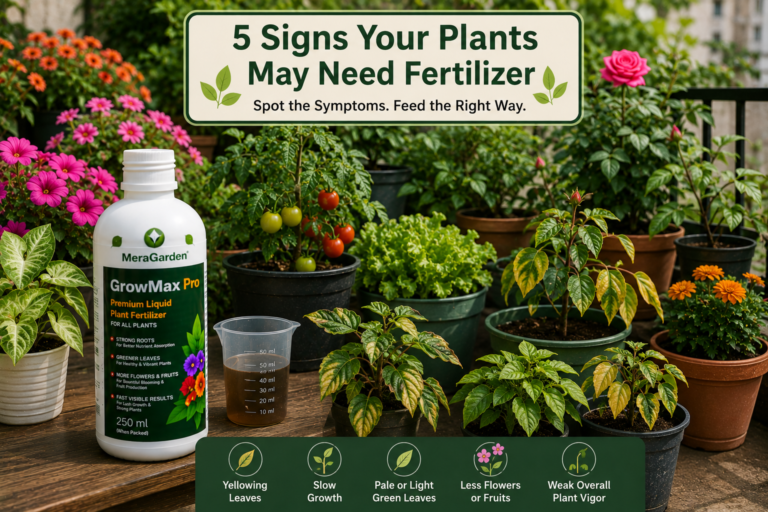 signs your plants need fertilizer
